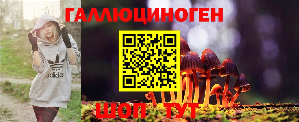 Галлюциногенные грибы Magic Shrooms  Вход с VPN  Арзамас 